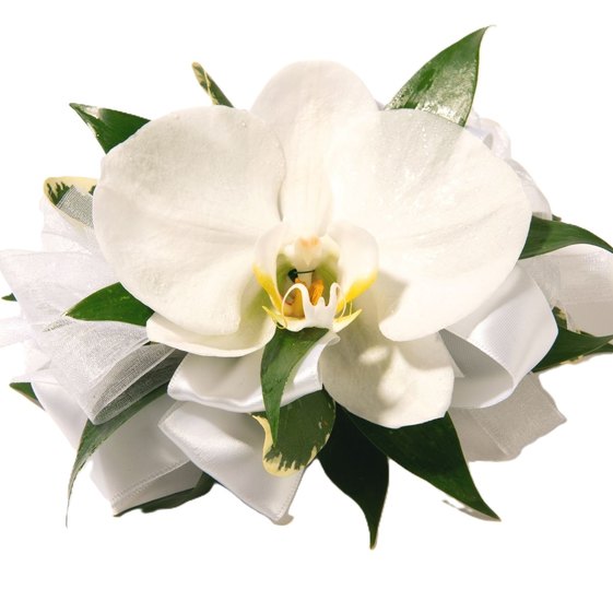 White orchid corsage with ribbon and green foliage on a white background, elegant wedding floral accessory for formal events.
